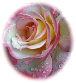 12-Garden - Version 2